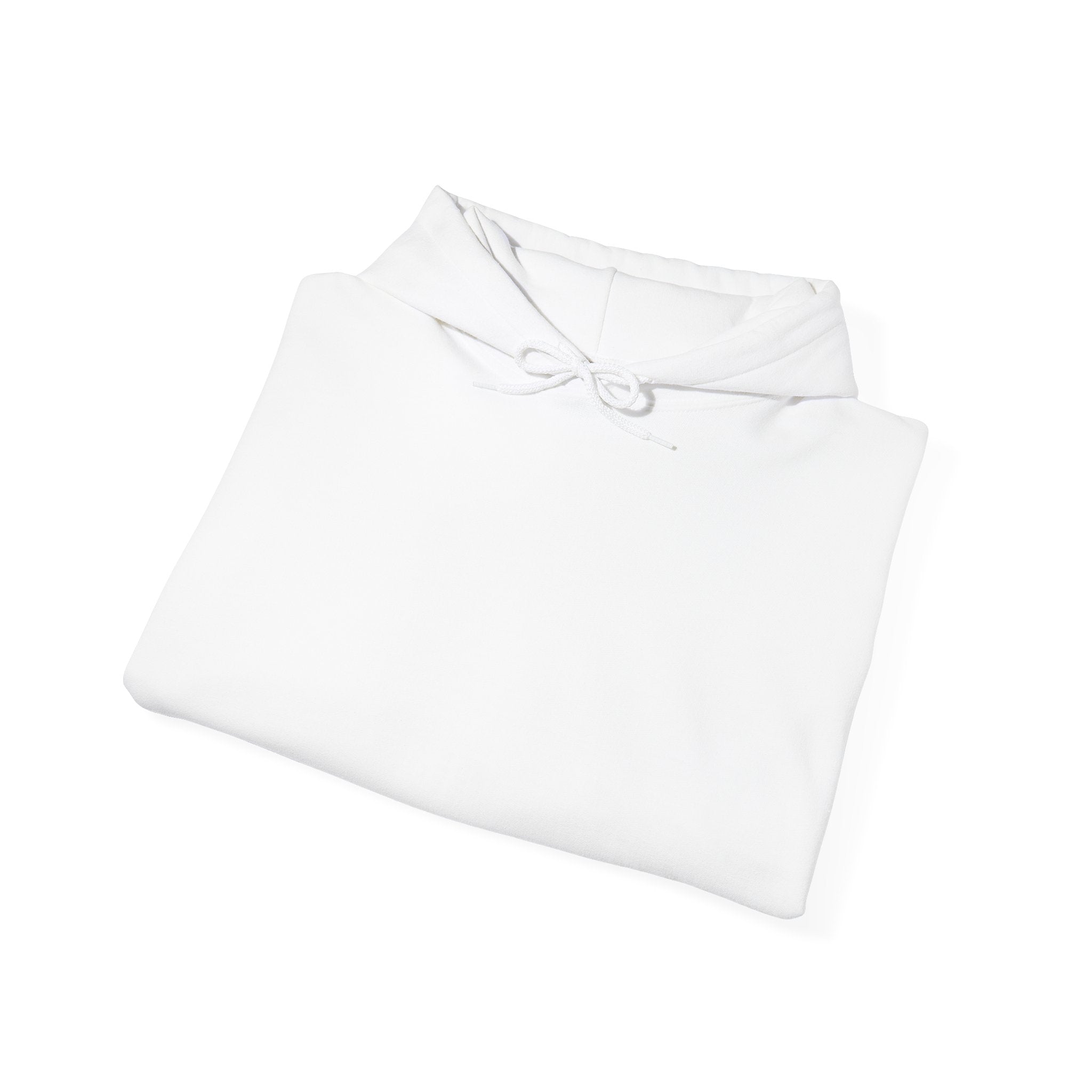 "Ride Safe Or Die Trying" Hoodie / Sweatshirt